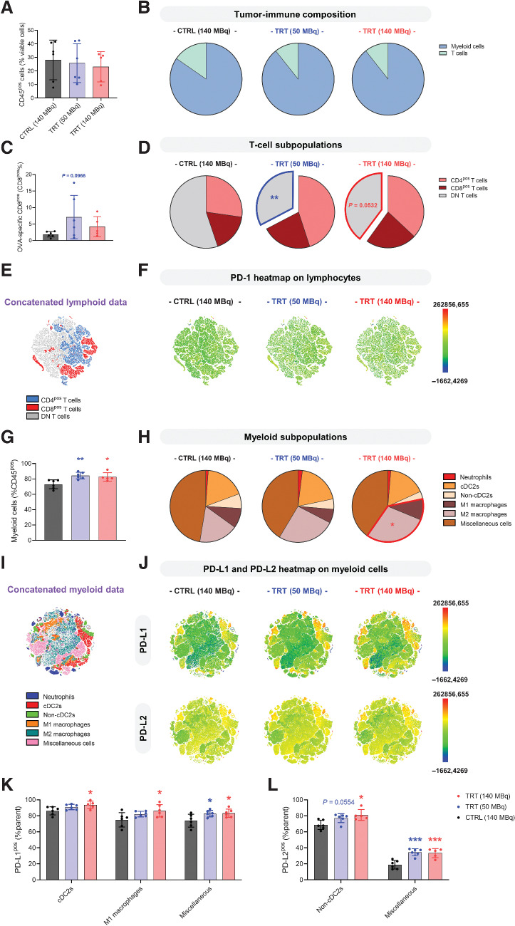 Figure 6. Flow cytometry analysis of tumors treated with 177Lu-9079 versus 177Lu-R3B23 shows differences in immune composition. Multicolor flow cytometry analysis was performed on single-cell suspensions of tumors treated with 50 or 140MBq of 177Lu-9079 [TRT (50MBq) and TRT (140MBq), respectively], or 140MBq 177Lu-R3B23 [CTRL (140MBq)] with an average volume of 250 mm³. A, Percentage of immune cells (CD45pos) within the tumor. B, Distribution of T cells (CD3εpos) versus myeloid cells [CD11bpos cells and nonconventional type 2 DCs (non-cDC2’)]. C, Percentage of CD8pos T cells able to recognize the surrogate antigen ovalbumin. D, Composition of the CD3εpos T-cell subpopulation, containing CD4pos, CD8pos, and CD4neg CD8neg DN T cells. E, Concatenated t-distributed Stochastic Neighbor Embedding (t-SNE) plot of all data acquired from the lymphoid lineage, overlayed with lymphoid cell populations (gating strategy, Supplementary Fig. S5A). F, Concatenated t-SNE heatmaps show the expression of PD-1 on T-cell subpopulations per treatment group. G, Percentage of myeloid cells amongst immune cells. H, Composition of the myeloid-cell population, containing CD11bpos Ly6Gpos neutrophils, Ly6Gneg CD11cpos MHC-IIhigh CD11bpos cDC2s, Ly6Gneg CD11cpos MHC-IIhigh CD11bneg (non-cDC2’s), Ly6Gneg CD11bpos F4-80pos MHC-IIhigh macrophages (M1 macrophages), Ly6Gneg CD11bpos F4-80pos MHC-IIlow macrophages (M2-macrophages), and the remaining cells are dubbed as miscellaneous myeloid cells (monocytes, mast cells, and eosinophils; gating strategy, Supplementary Fig. S5B). I, Concatenated t-SNE plot of all data acquired from the myeloid lineage, overlayed with myeloid-cell populations. J, Expression of PD-L1 and PD-L2 on myeloid subpopulations per treatment group. K, PD-L1 expression on myeloid-cell populations with significant upregulation upon TRT. L, PD-L2 expression on myeloid-cell populations with significant upregulation upon TRT. Results are presented as individual values with grouped mean ± SD (N = 1, n = 5–6).