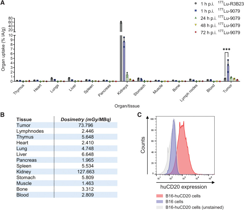 Figure 2. Ex vivo biodistribution data show specific accumulation of 177Lu-9079 in B16-huCD20 tumors. A, Accumulation of 177Lu-9079 and 177Lu-R3B23 was quantified at 1, 24, 48, and 72 hours postinjection, and 1 hour postinjection, respectively (N = 1, n = 3 per time-point). The bar graphs show individual datapoints and grouped mean %IA/g ± SD. B, Tissue dosimetry upon 177Lu-TRT was performed using trapezoid-exponential fitting. C, Histograms show expression of huCD20 on B16-huCD20 cells. h, hours; p.i., postinjection.