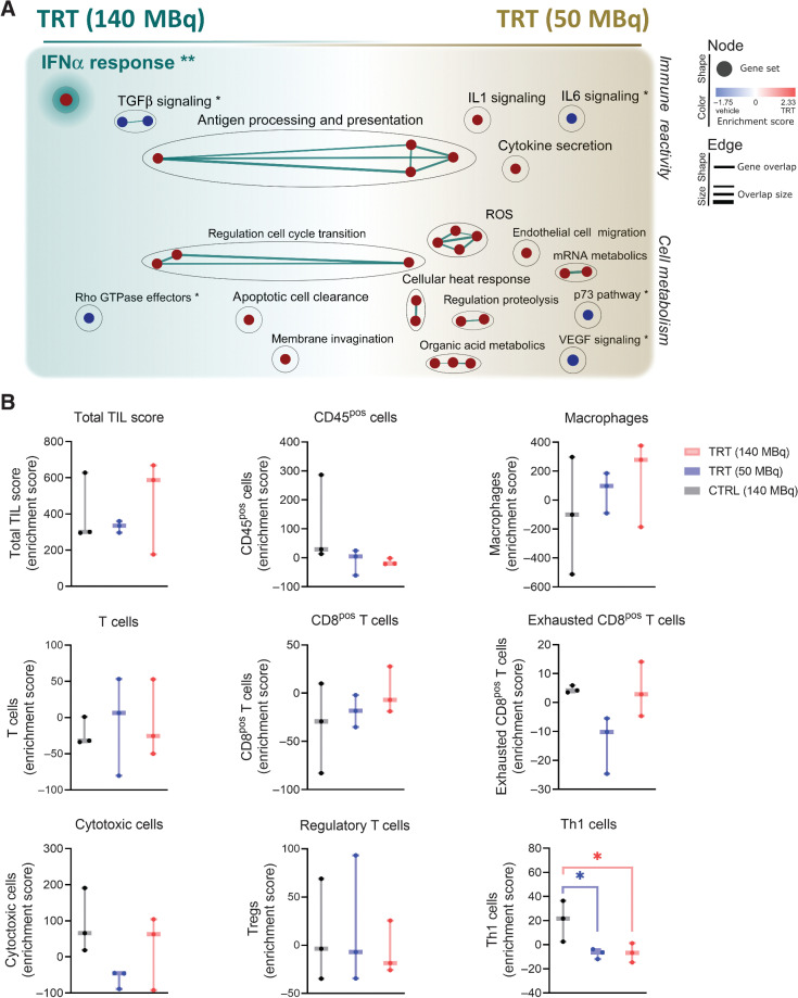 Figure 5. NanoString RNA profiling of tumors treated with 50 or 140 MBq of 177Lu-9079 [TRT (50 MBq) and TRT (140 MBq), respectively], or 140 MBq 177Lu-R3B23 [CTRL (140 MBq)] shows a different gene expression profile. RNA was isolated from tumors with an average volume of 250 mm³. RNA samples with RNA Integrity values of 7.81 ± 0.35 were subjected to RNA profiling. A, Representation of the GSEA on gene expression changes in B16-huCD20 tumors treated with 50 MBq (right) or 140 MBq (left) 177Lu-9079 compared with 140 MBq 177Lu-R3B23. The color of the sphere indicates whether an increase (red) or decrease (blue) in the respective pathway has been observed. Immune and cell metabolism pathways are displayed. Pathways annotated with “*” and “**”, originate from the canonical pathways and hallmarks databases, while unmarked pathways originate from the Gene Ontology database. B, Immune cell scoring. The data are represented as 10 to 90 percentile Box and Whiskers (N = 1, n = 3). Tregs, regulatory T cells.