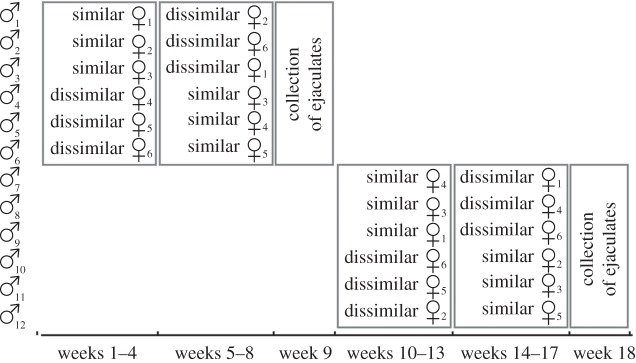 Figure 1.