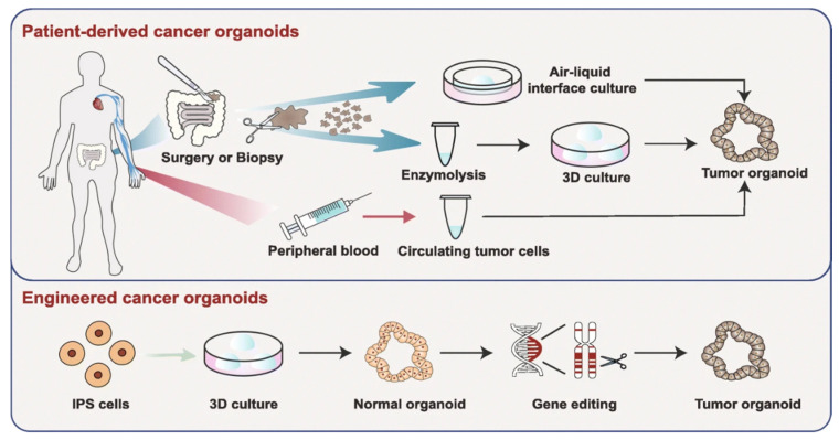 Figure 10