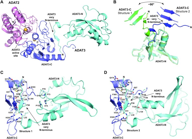 Figure 2.