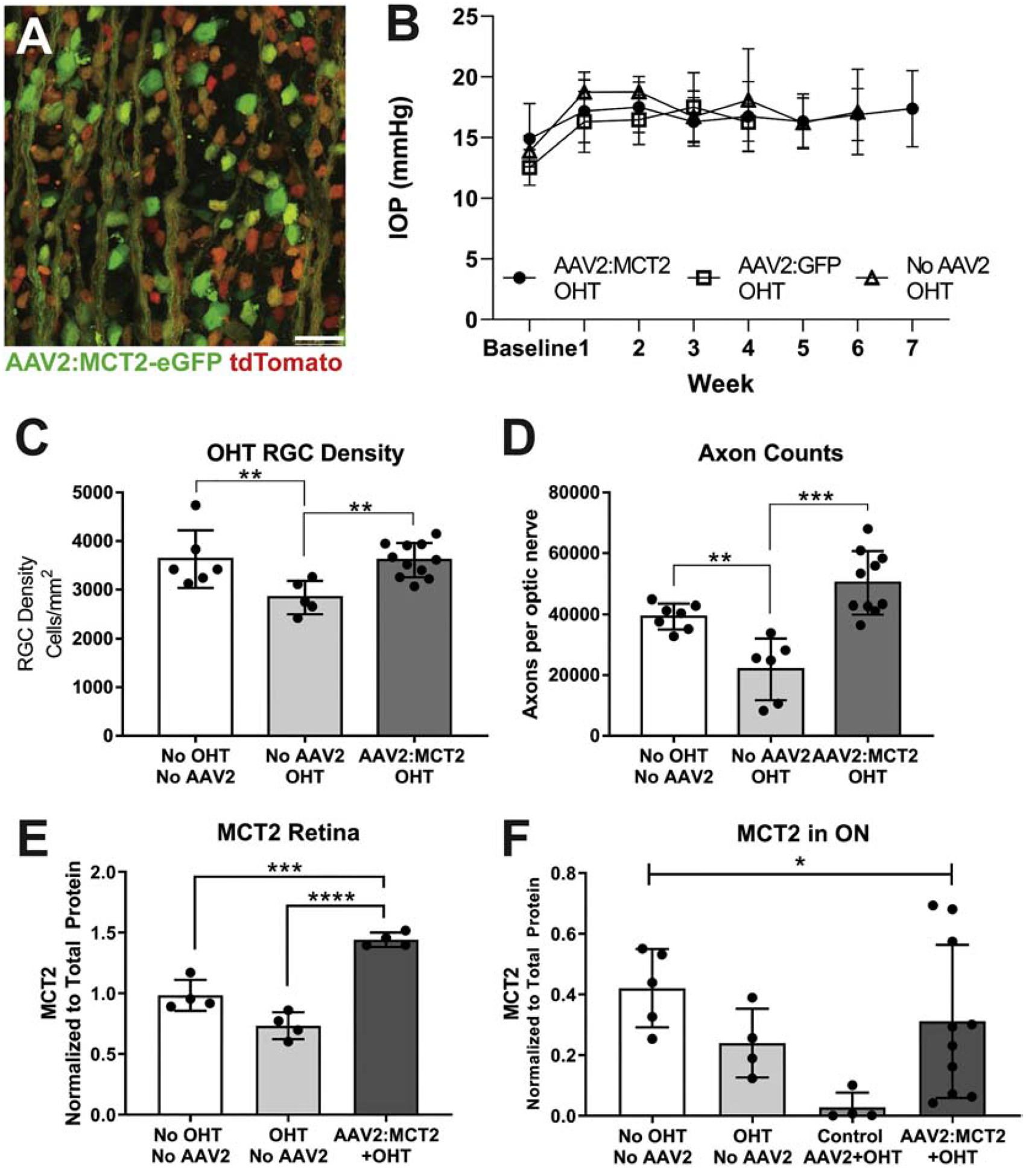 Figure 6: