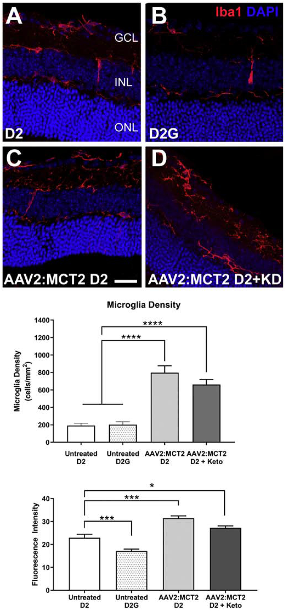 Figure 5: