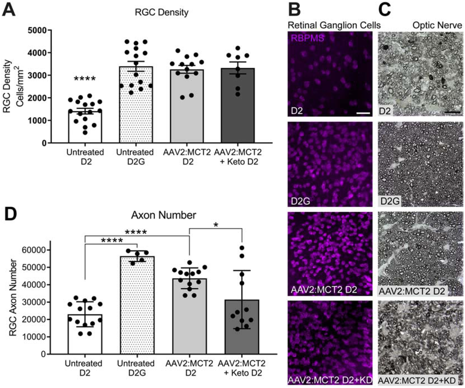 Figure 3: