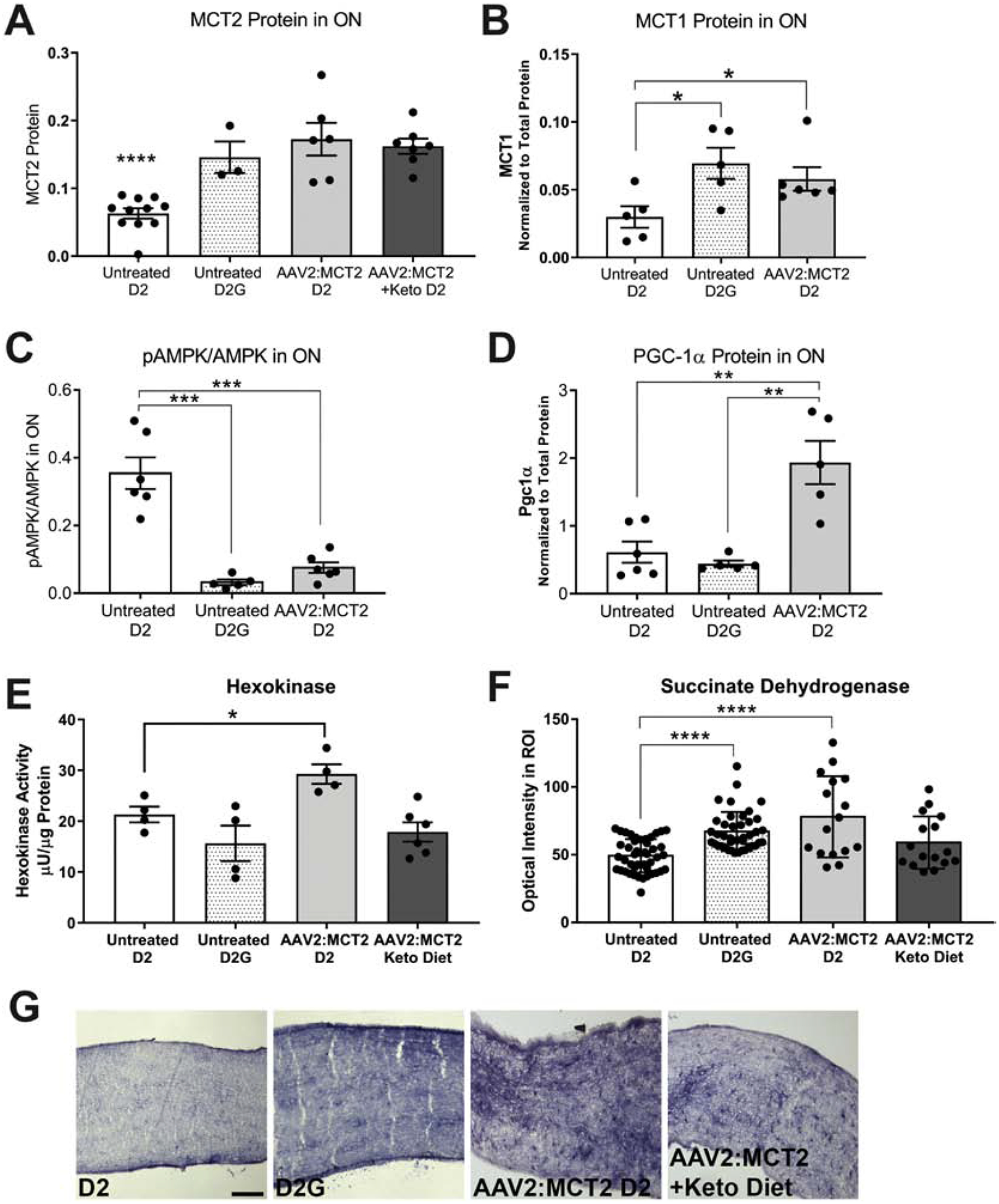 Figure 4: