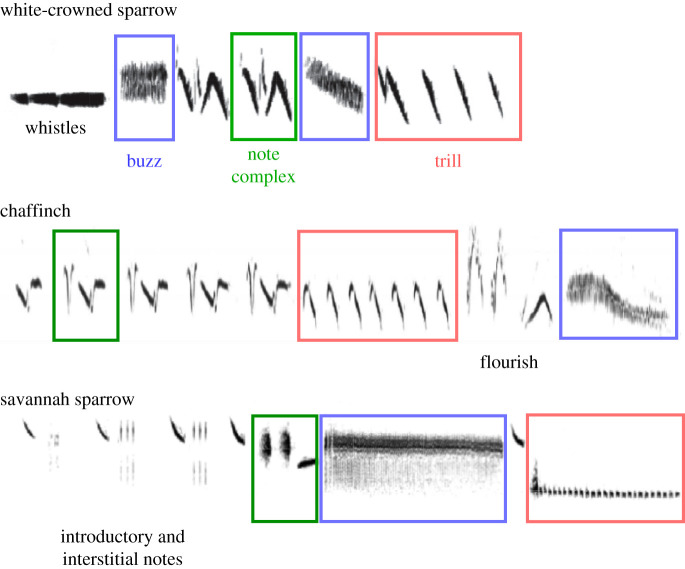 Figure 5. 