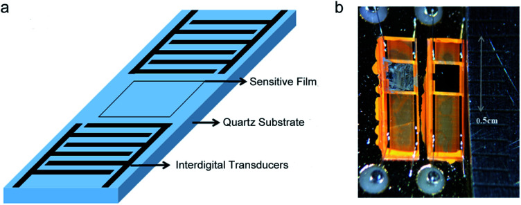 Fig. 1