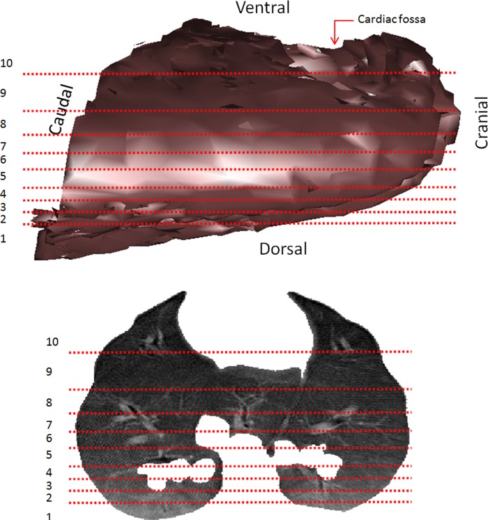 Fig. 1.