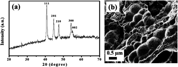 Fig. 4