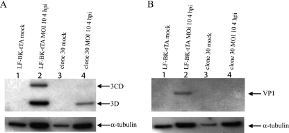 FIG. 5.