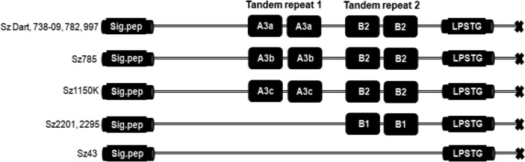 FIG 3