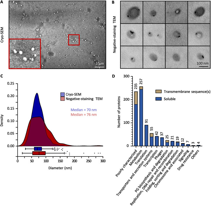 FIG 3