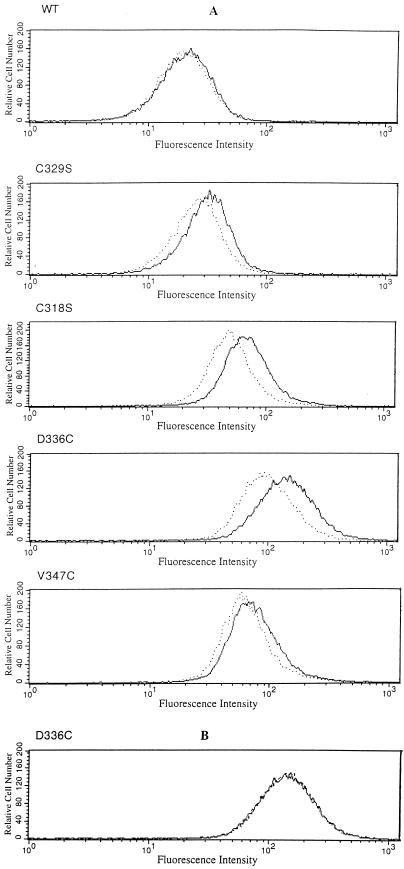 FIG. 6