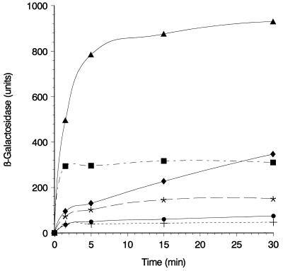 FIG. 3