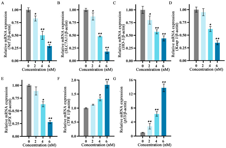 Figure 6