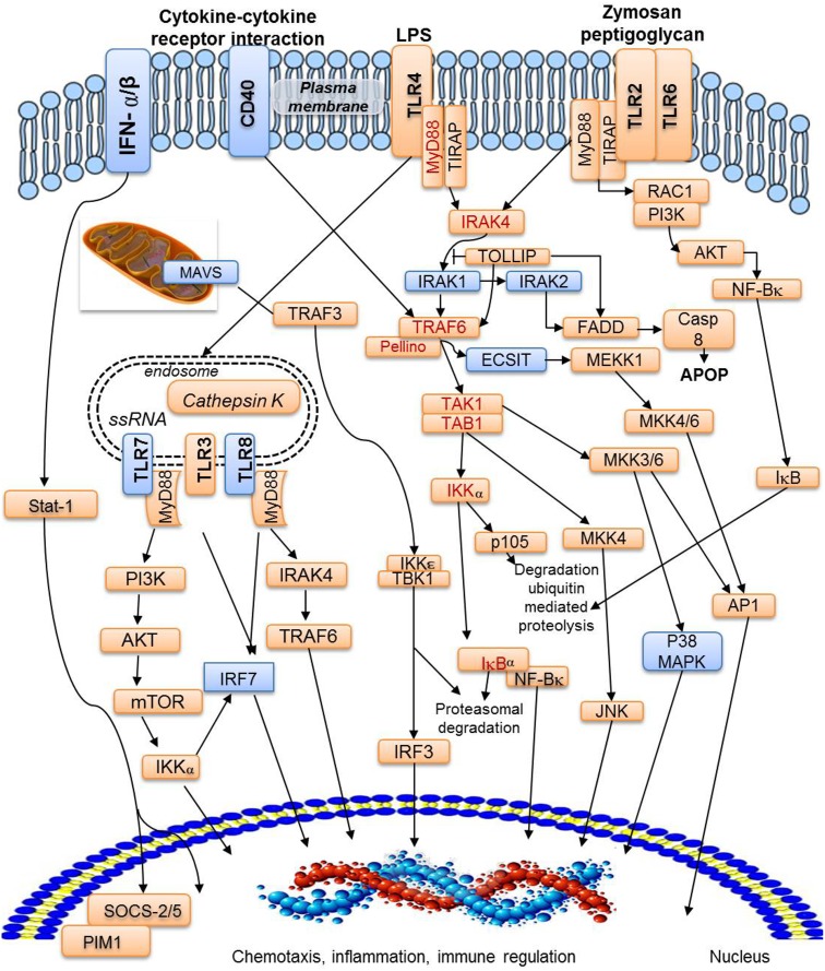 Figure 6