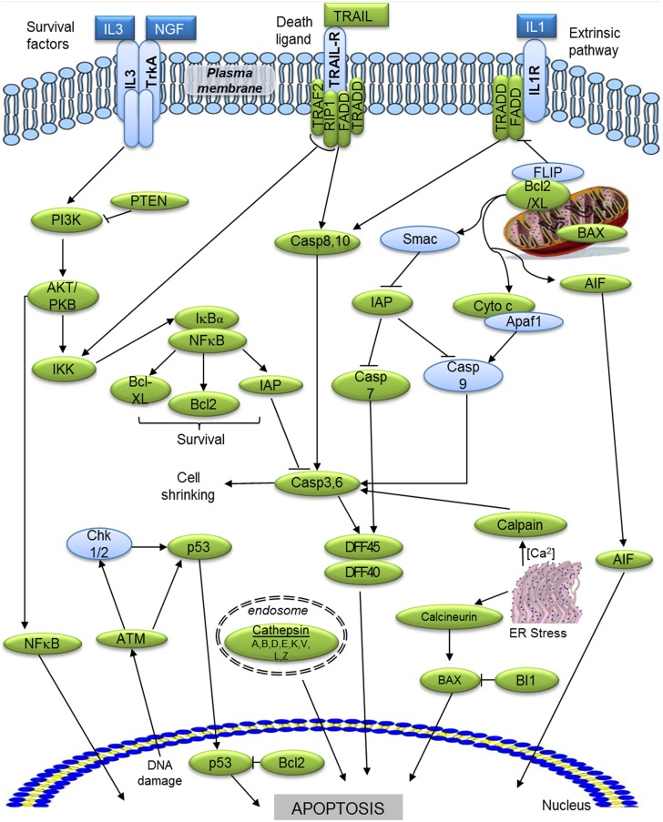 Figure 7