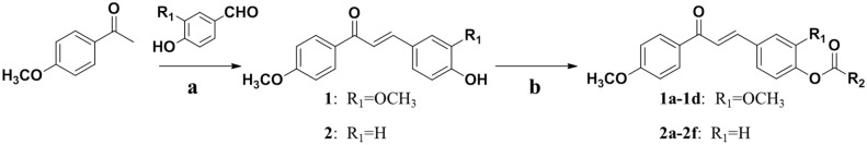 Scheme 1