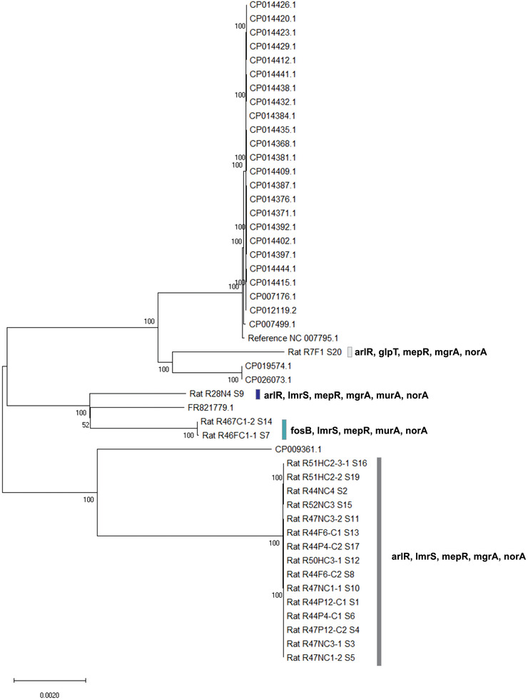 FIGURE 2