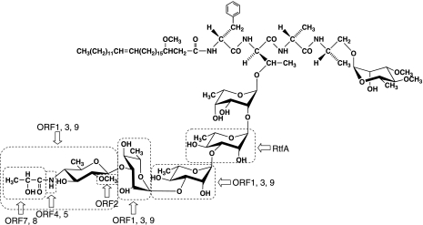 FIG. 8.