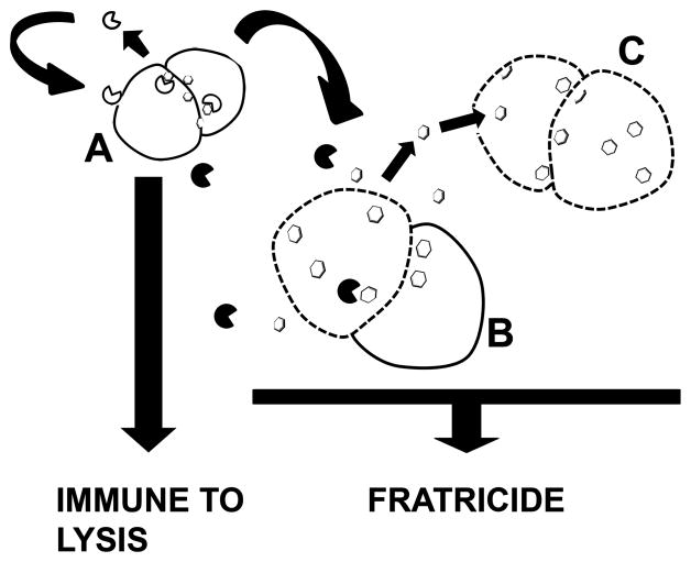 Figure 8