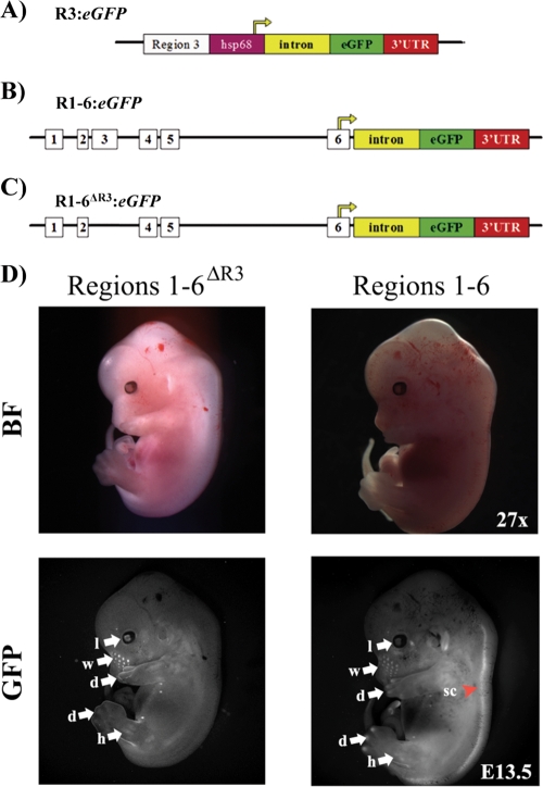 FIG. 1.