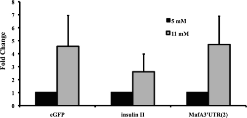 FIG. 5.