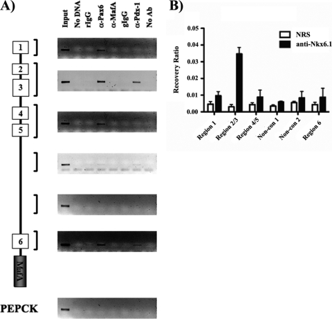 FIG. 9.