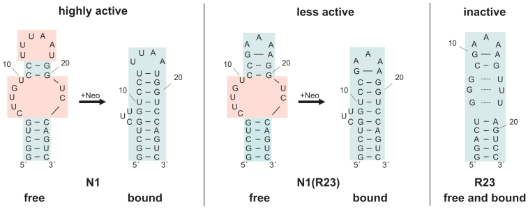 Figure 5.