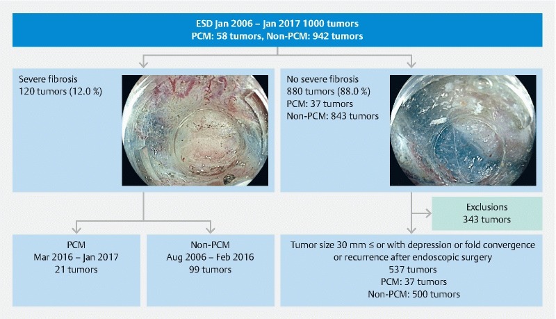 Fig. 1