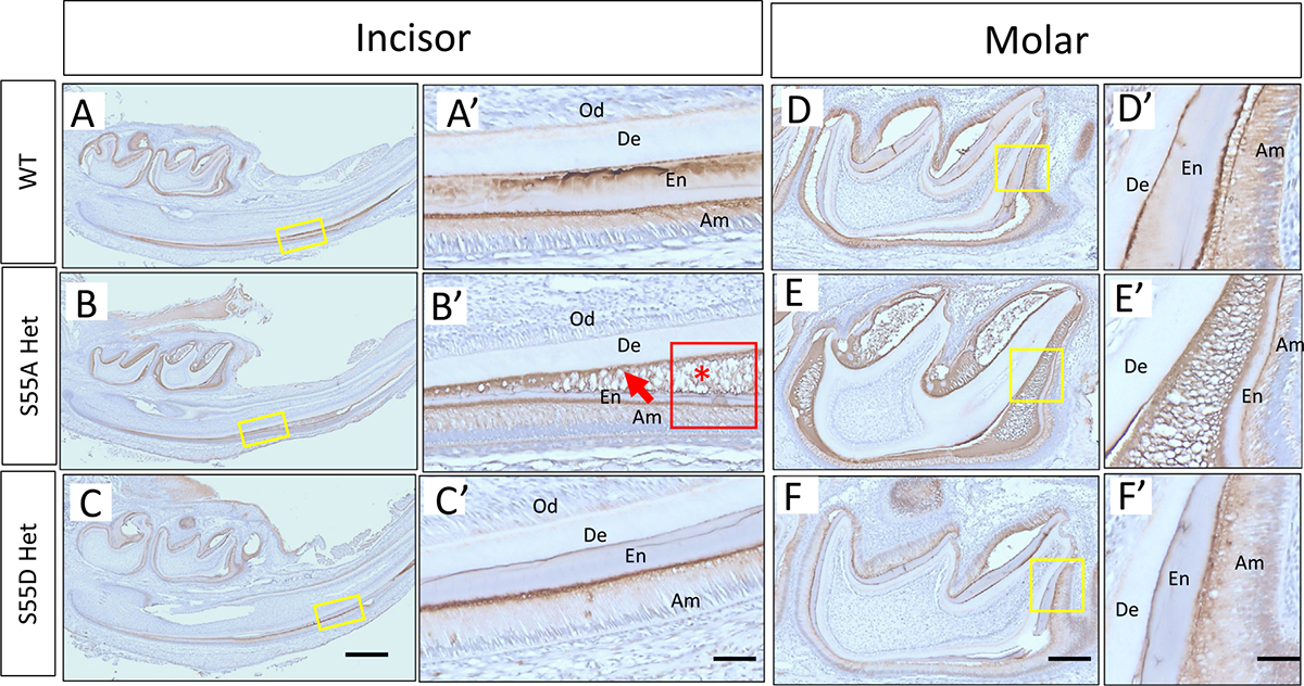 Fig. 10.