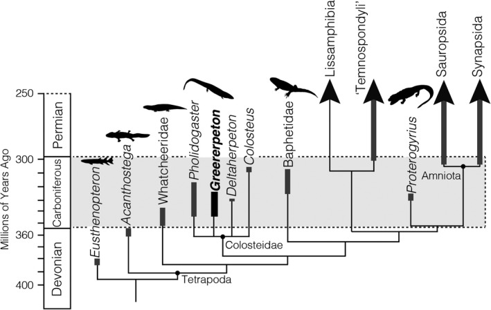 FIGURE 1