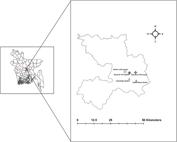 FIGURE 1