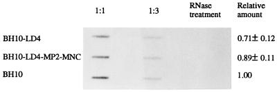 FIG. 6