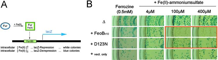 Fig 3.