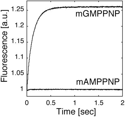 Fig 1.