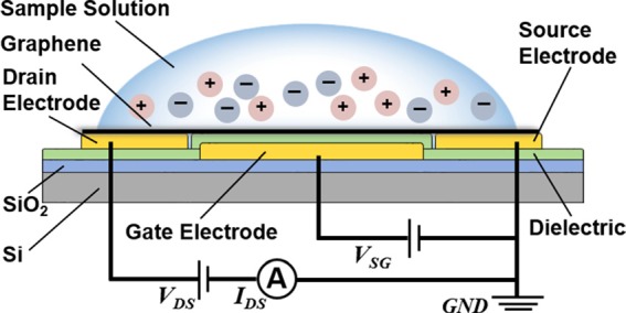 FIG. 1.