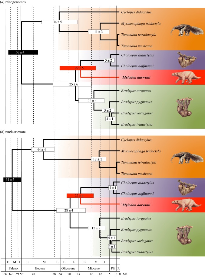 Figure 3.