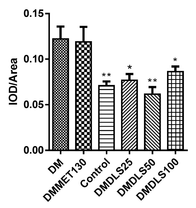 Figure 13