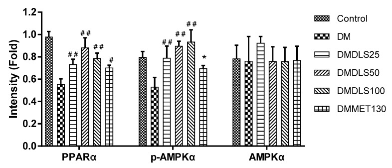 Figure 17