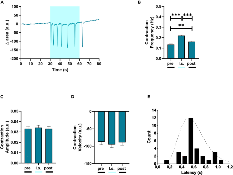 Figure 4