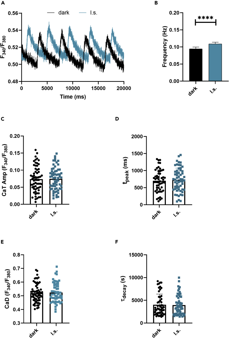 Figure 3