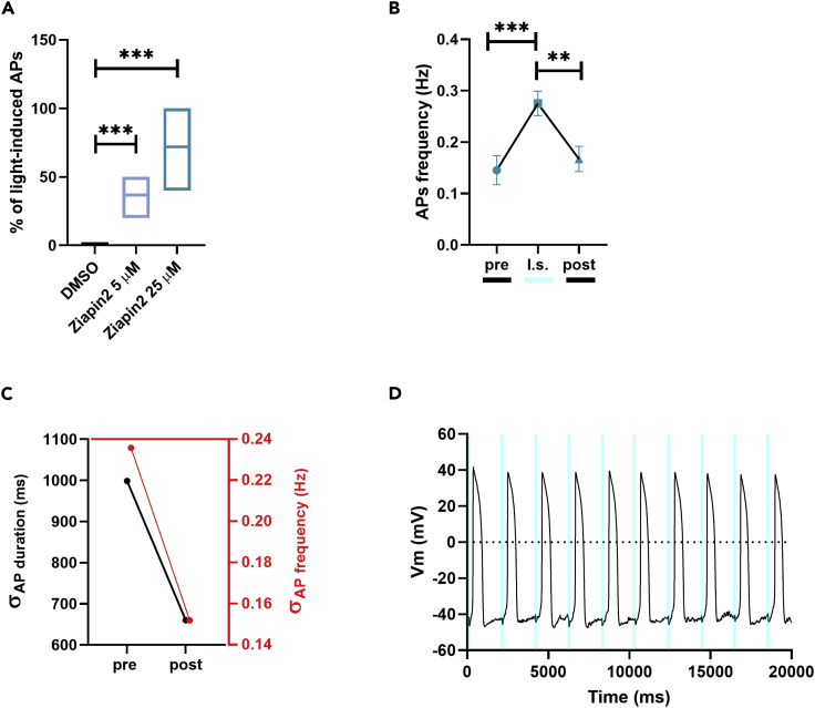 Figure 2