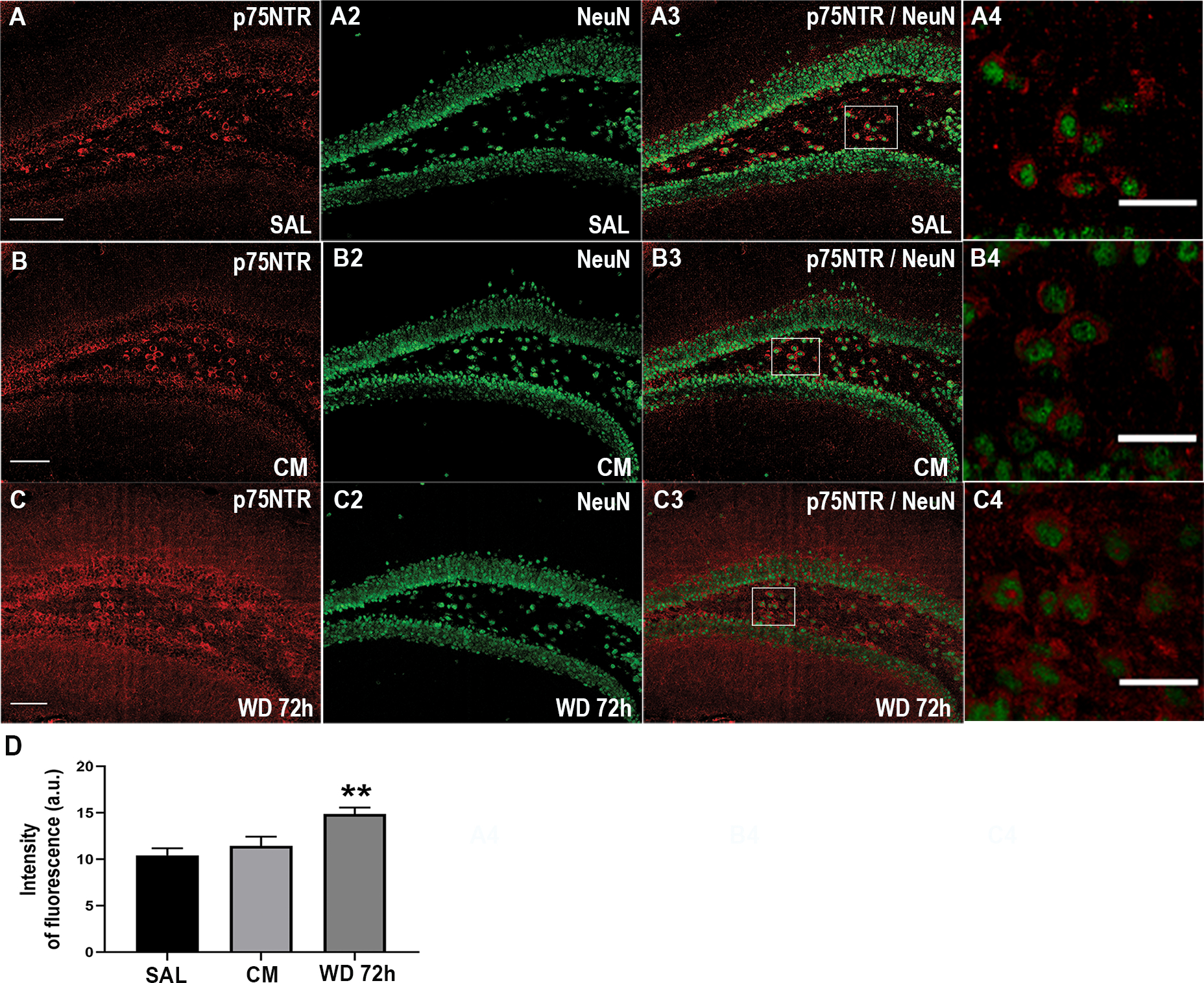 Figure 3.