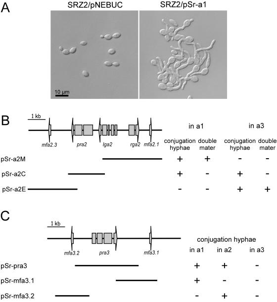 FIG. 6.