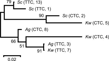 Fig. 3.