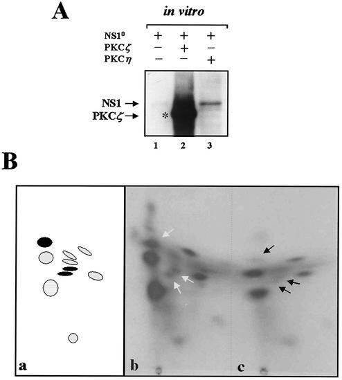 FIG. 6.