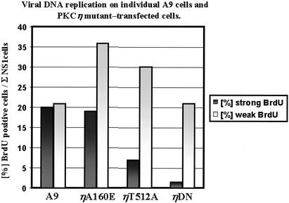 FIG. 8.