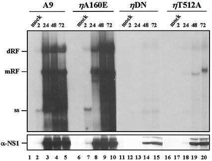 FIG. 7.